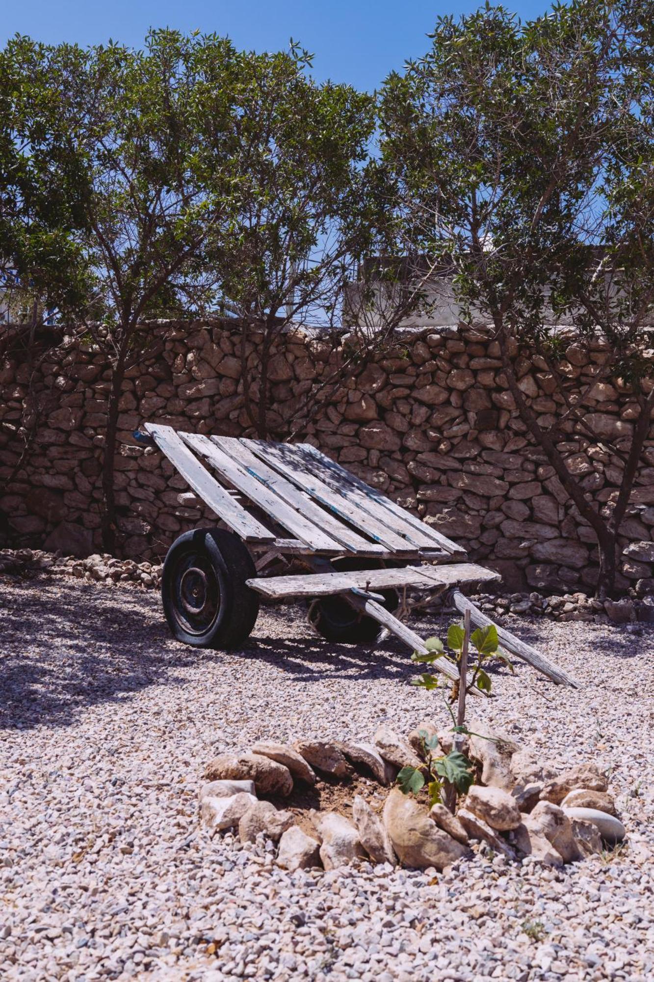 לינה וארוחת בוקר סידי קאוקי House Of Omm מראה חיצוני תמונה